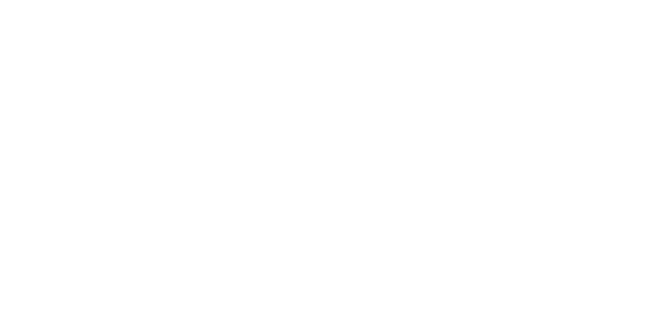 PlayAce